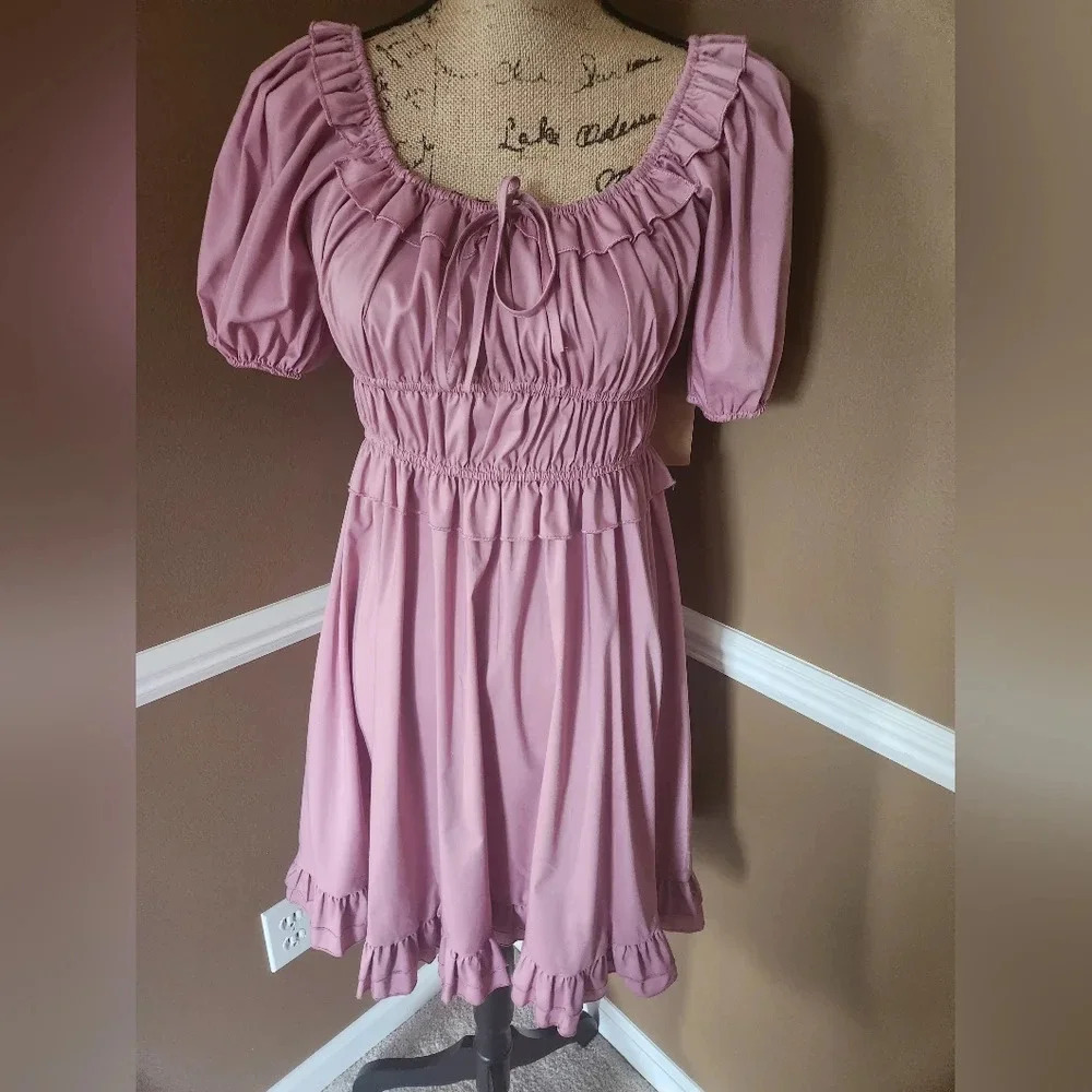 NWT Emery Pink Just‎ Found Frill Dress LG